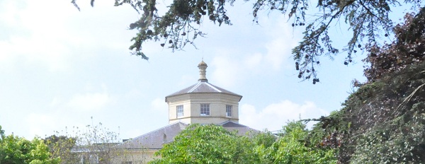 Library roof