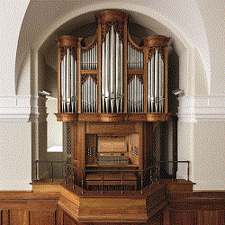 organ