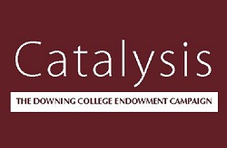 Catalysis Campaign logo